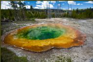 Morning Glory pool
